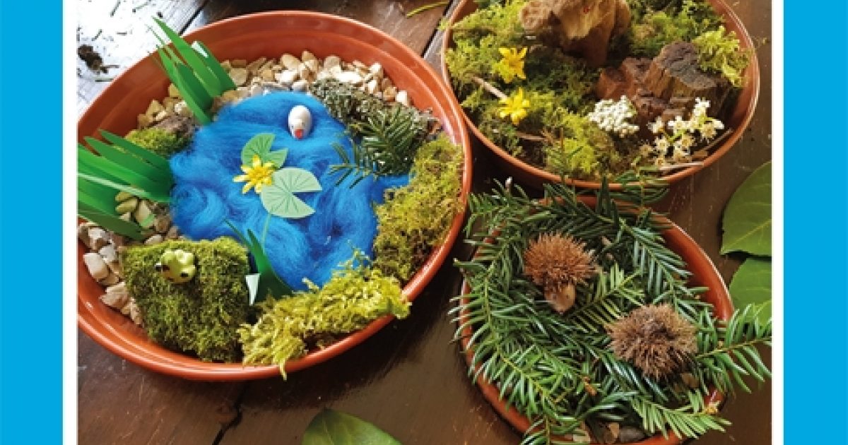 Mini Habitat Right Start Online