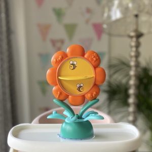 Daisy Flower