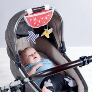 12155 WATERMELON SUNSHADE LS 4