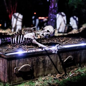 BP Halloween