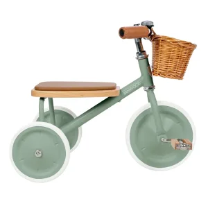 BW TRIKE FOREST 1 jpg