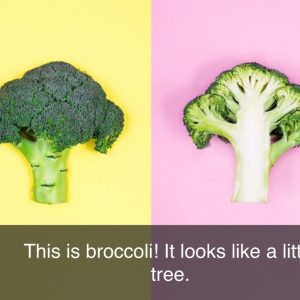 Brocolli ebook