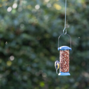 CJ Wildlife and National Trust Kids Easyflip Peanut Bird Feeder