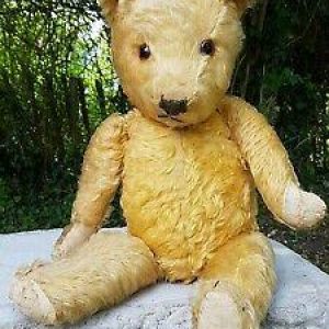 English Chiltern teddy