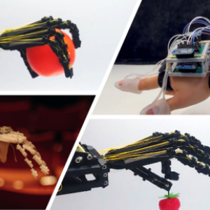 The Essential Role of Robots Copyright Dasha Tenditna